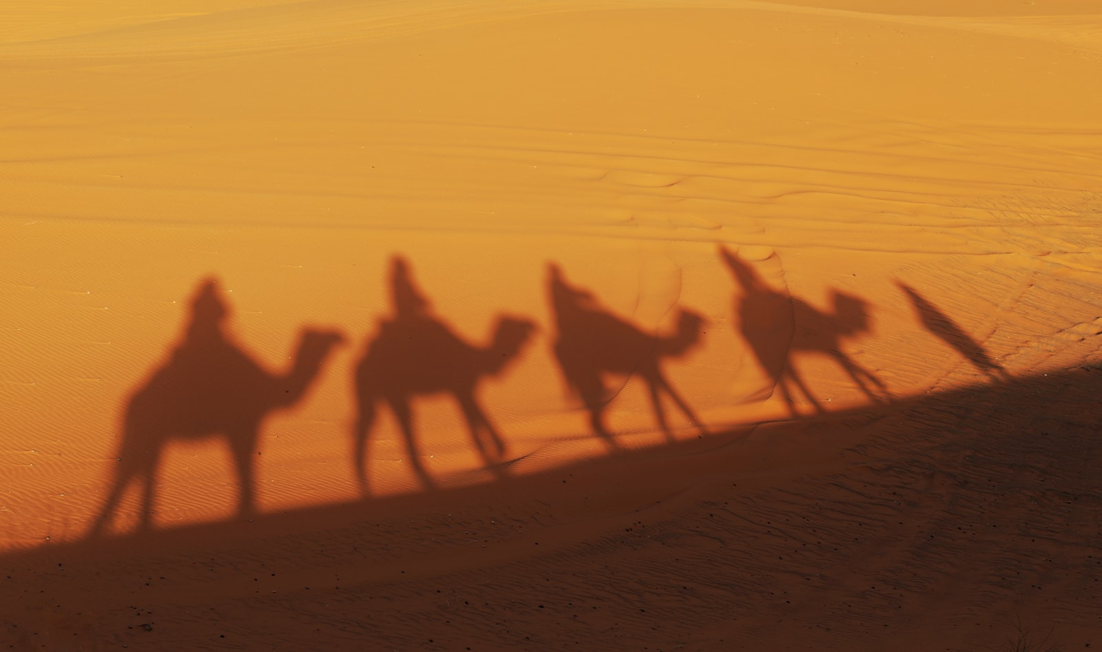 Safári no Deserto Premium