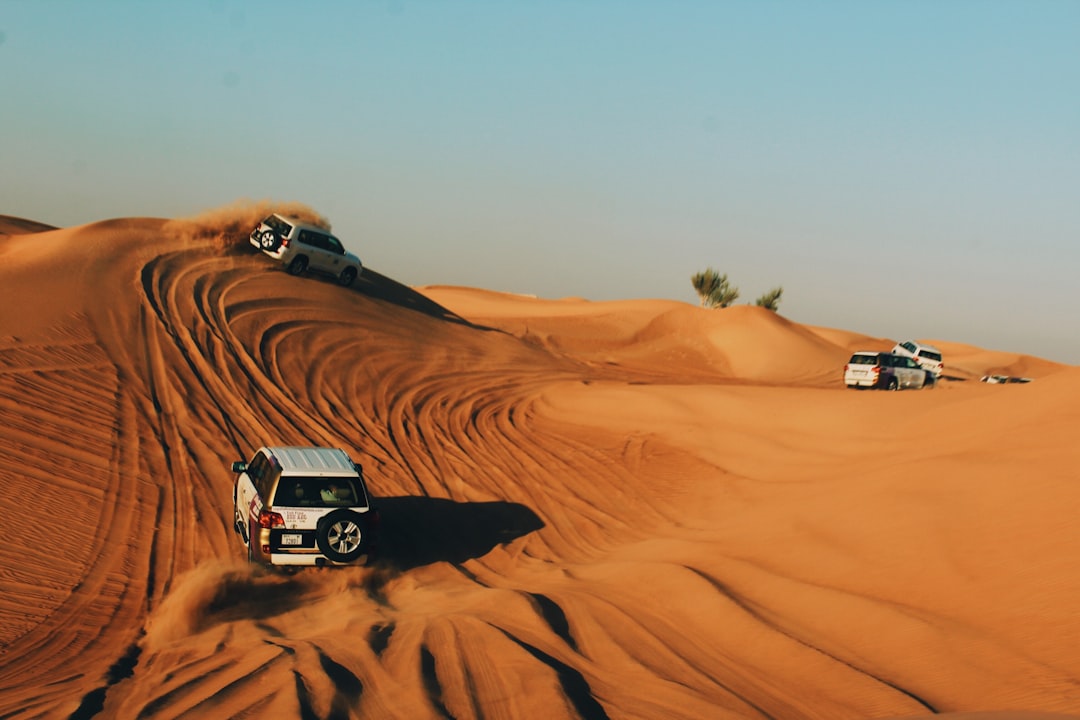 Safári no Deserto