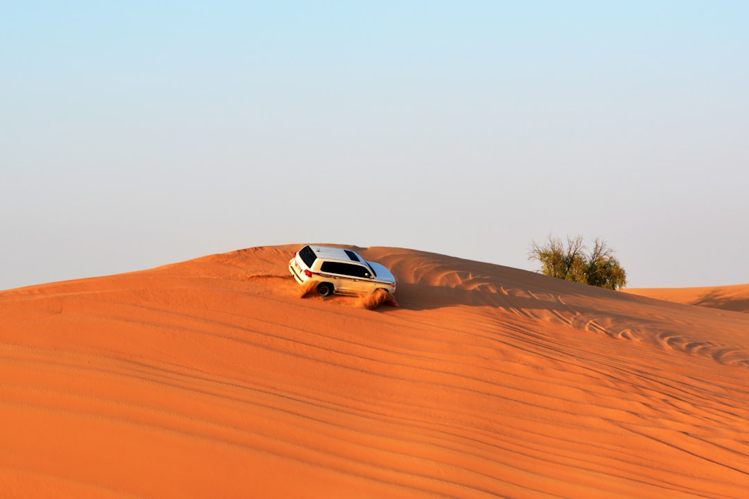 Safári Matinal no Deserto