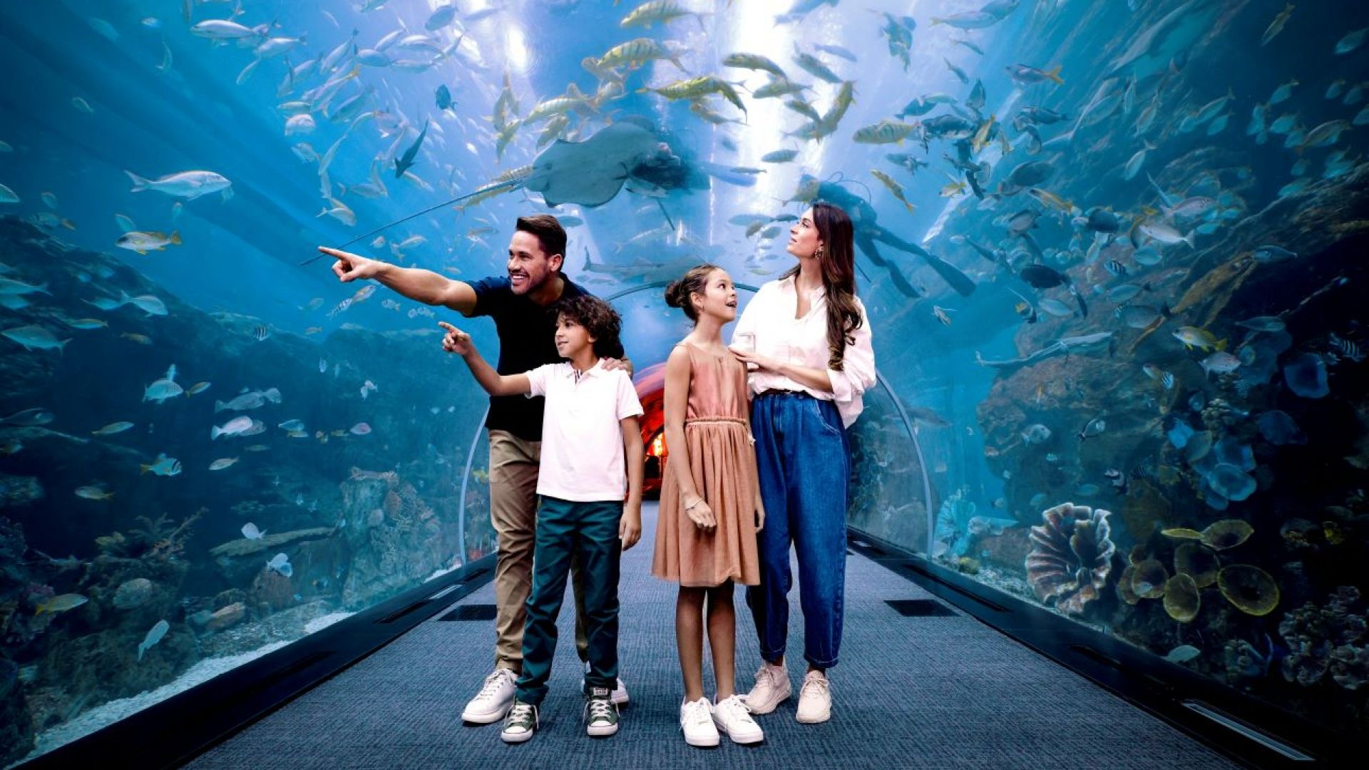 Aquário de Dubai com Encontro com Pinguins